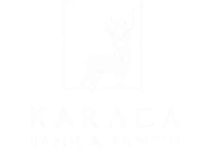 Sponsor logosu